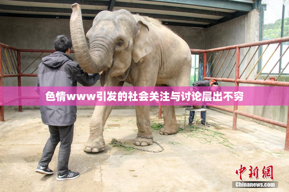 色情www引发的社会关注与讨论层出不穷