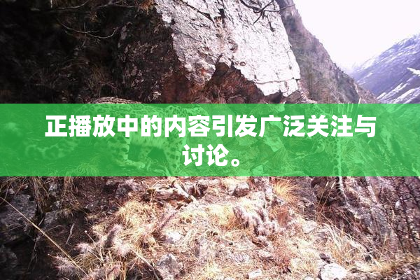正播放中的内容引发广泛关注与讨论。