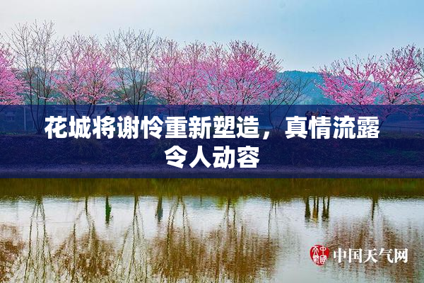 花城将谢怜重新塑造，真情流露令人动容
