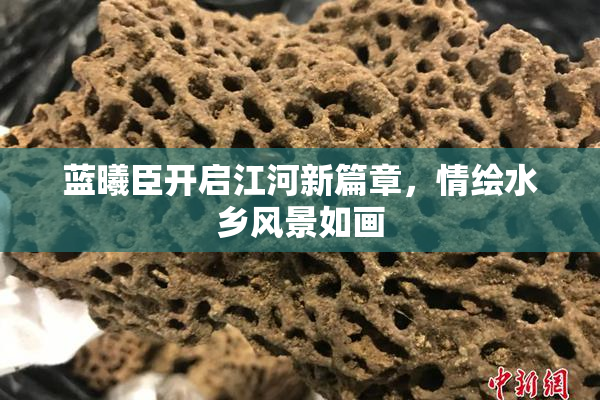 蓝曦臣开启江河新篇章，情绘水乡风景如画
