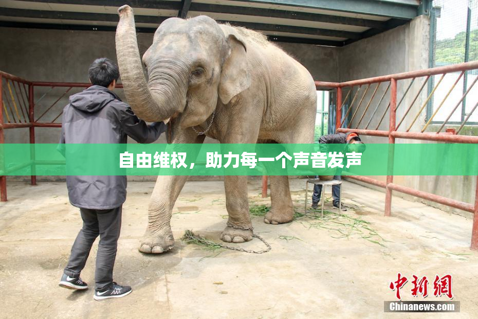 自由维权，助力每一个声音发声