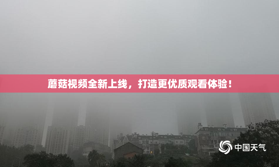 蘑菇视频全新上线，打造更优质观看体验！