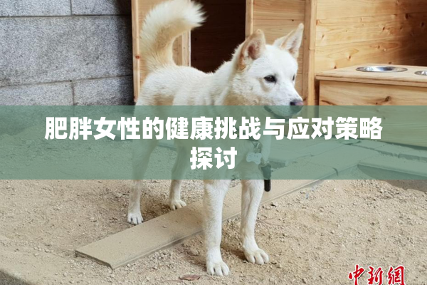 肥胖女性的健康挑战与应对策略探讨