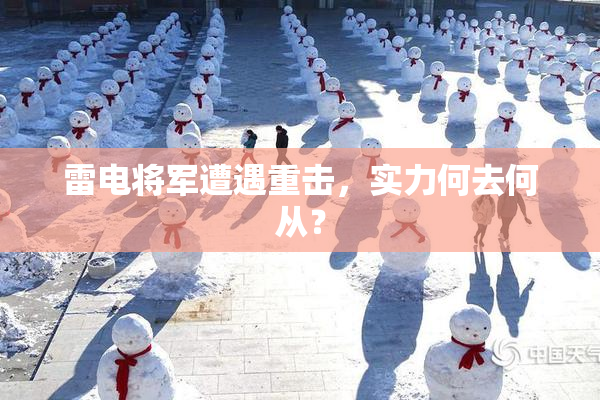 雷电将军遭遇重击，实力何去何从？