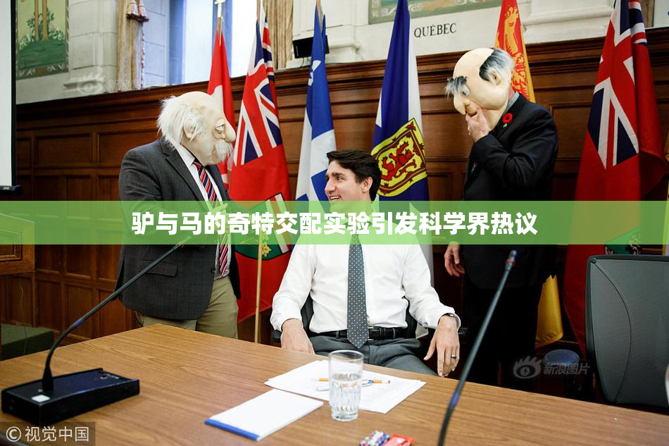 驴与马的奇特交配实验引发科学界热议