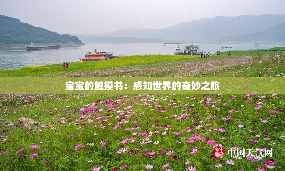 宝宝的触摸书：感知世界的奇妙之旅