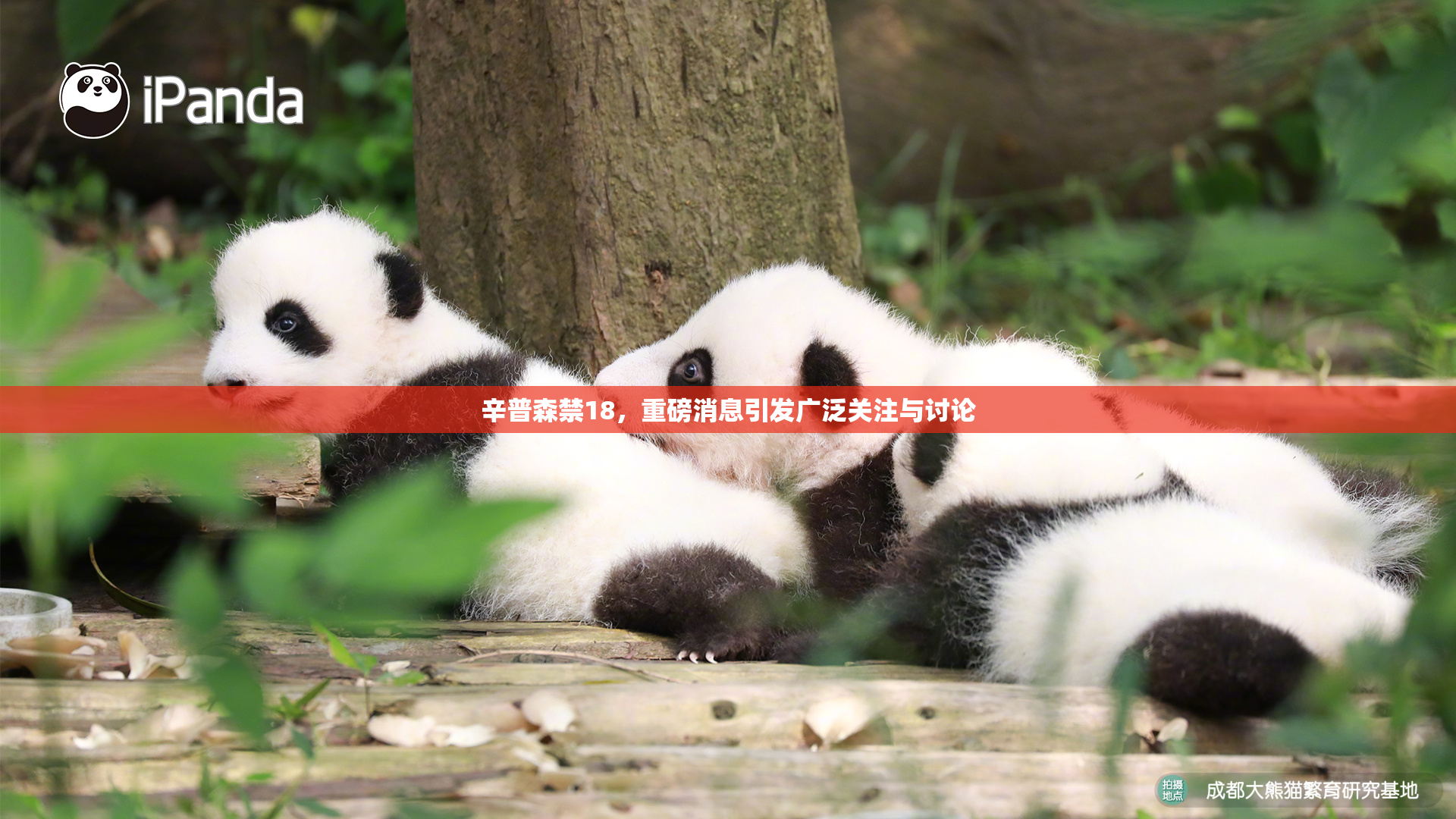 辛普森禁18，重磅消息引发广泛关注与讨论