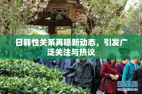 日韩性关系再曝新动态，引发广泛关注与热议