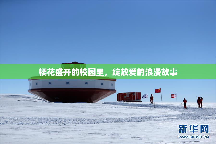 樱花盛开的校园里，绽放爱的浪漫故事