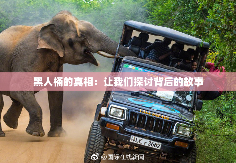黑人桶的真相：让我们探讨背后的故事