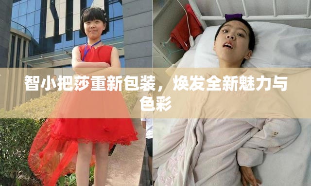 智小把莎重新包装，焕发全新魅力与色彩