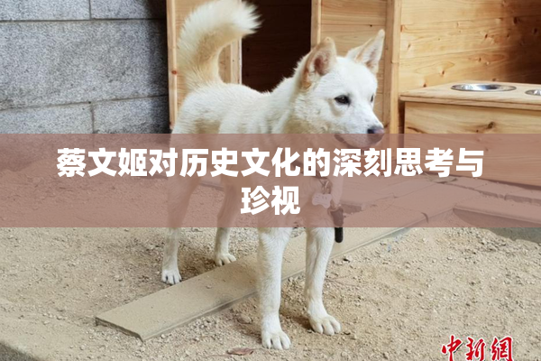 蔡文姬对历史文化的深刻思考与珍视