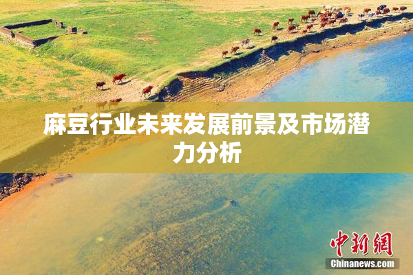 麻豆行业未来发展前景及市场潜力分析