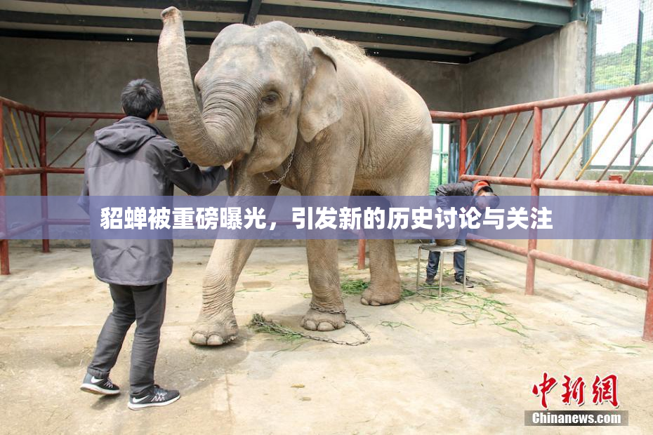 貂蝉被重磅曝光，引发新的历史讨论与关注