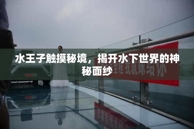 水王子触摸秘境，揭开水下世界的神秘面纱