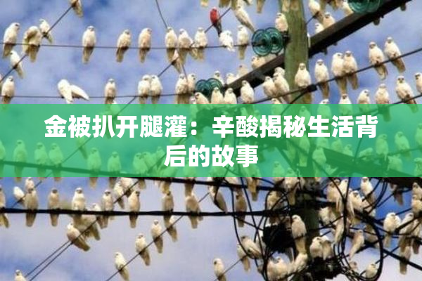 金被扒开腿灌：辛酸揭秘生活背后的故事