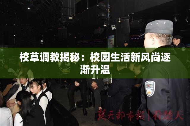 校草调教揭秘：校园生活新风尚逐渐升温