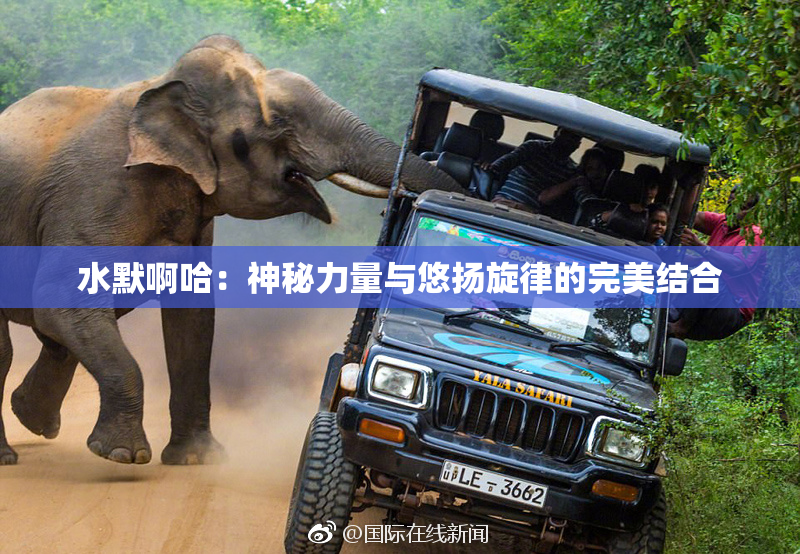 水默啊哈：神秘力量与悠扬旋律的完美结合