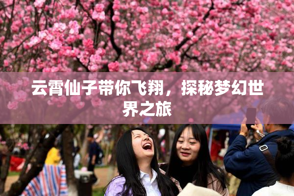 云霄仙子带你飞翔，探秘梦幻世界之旅
