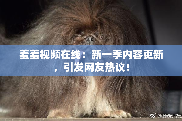 羞羞视频在线：新一季内容更新，引发网友热议！
