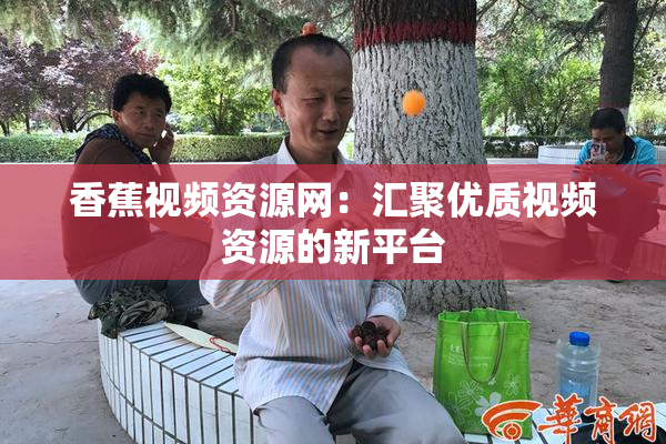 香蕉视频资源网：汇聚优质视频资源的新平台