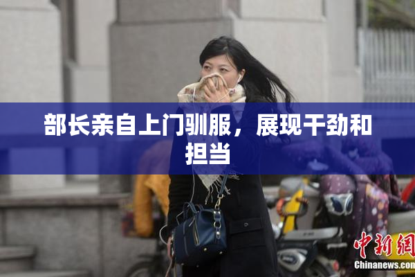 部长亲自上门驯服，展现干劲和担当