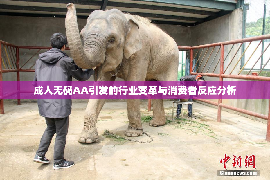成人无码AA引发的行业变革与消费者反应分析