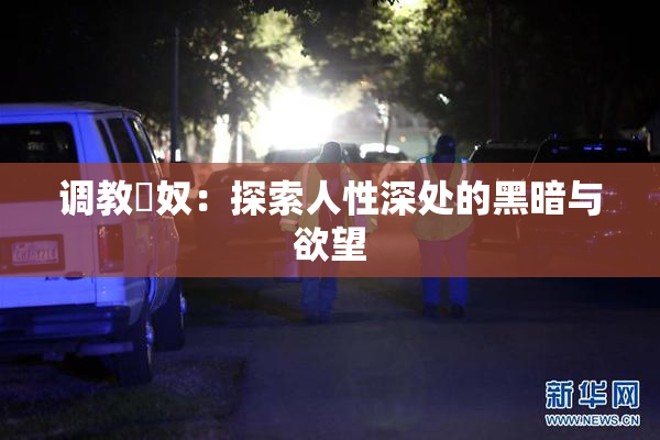 调教婬奴：探索人性深处的黑暗与欲望