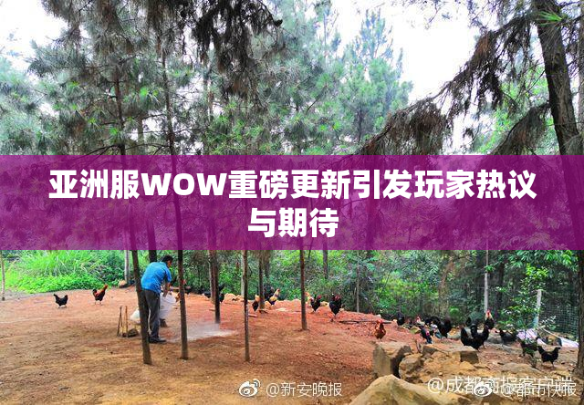 亚洲服WOW重磅更新引发玩家热议与期待