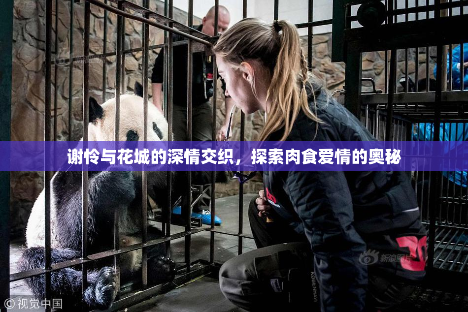 谢怜与花城的深情交织，探索肉食爱情的奥秘