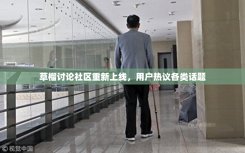 草榴讨论社区重新上线，用户热议各类话题