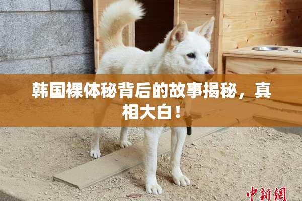 韩国裸体秘背后的故事揭秘，真相大白！