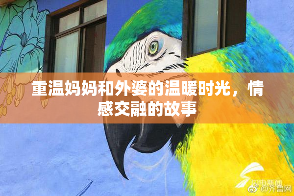 重温妈妈和外婆的温暖时光，情感交融的故事