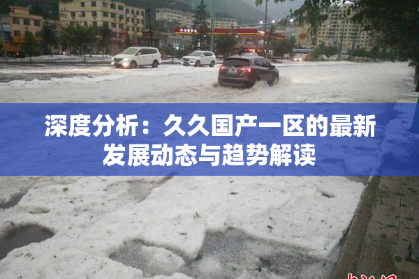 深度分析：久久国产一区的最新发展动态与趋势解读