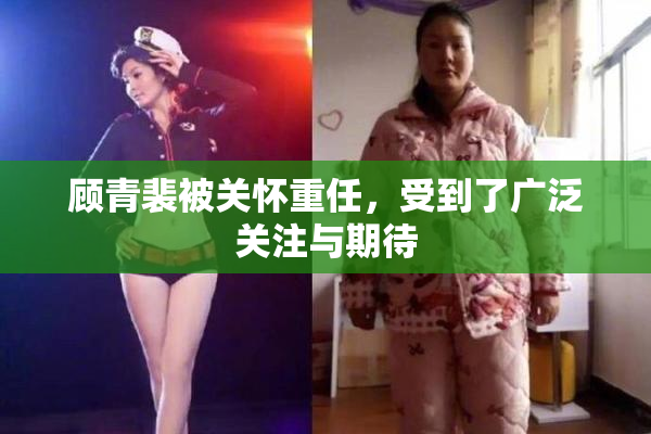 顾青裴被关怀重任，受到了广泛关注与期待