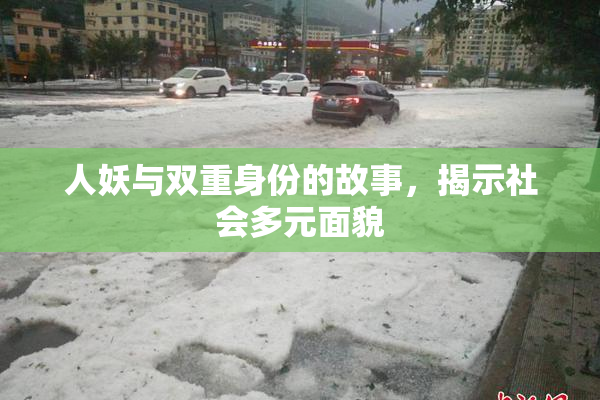 人妖与双重身份的故事，揭示社会多元面貌