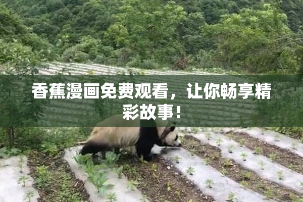 香蕉漫画免费观看，让你畅享精彩故事！