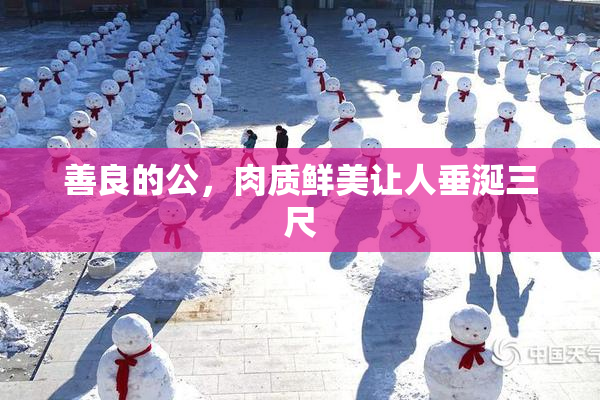 善良的公，肉质鲜美让人垂涎三尺