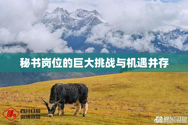 秘书岗位的巨大挑战与机遇并存