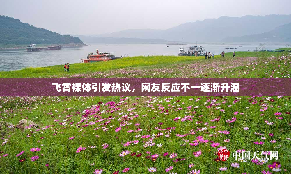 飞霄裸体引发热议，网友反应不一逐渐升温