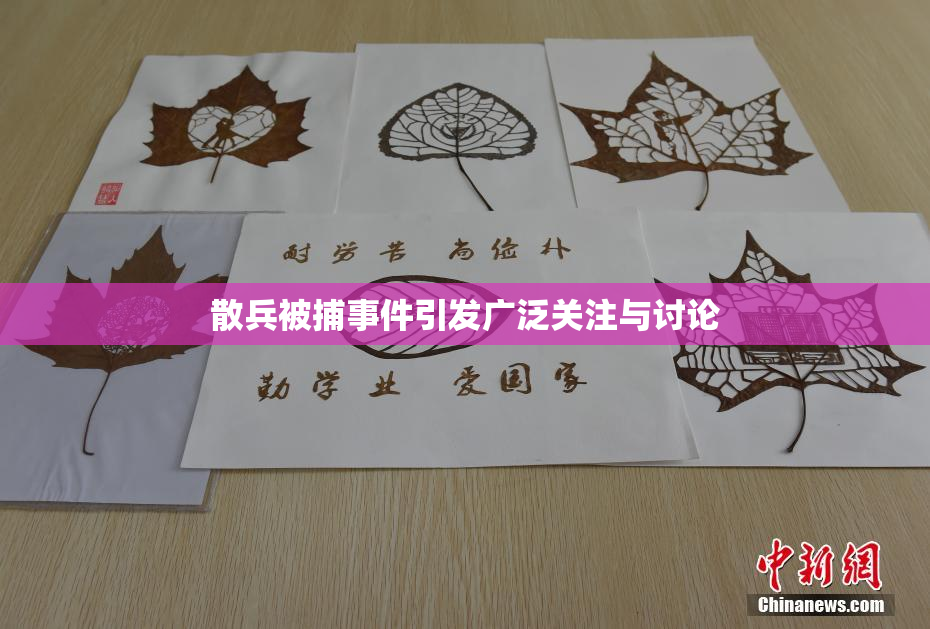 散兵被捕事件引发广泛关注与讨论