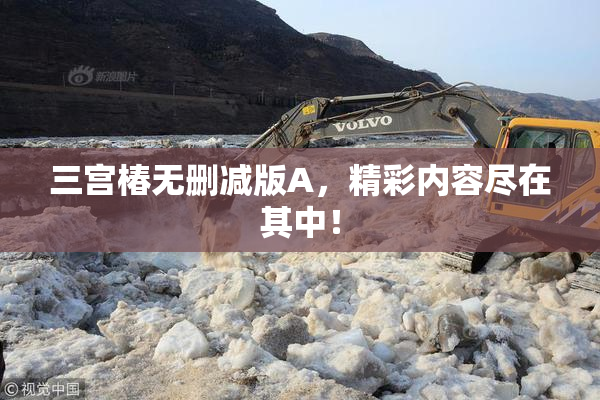 三宫椿无删减版A，精彩内容尽在其中！