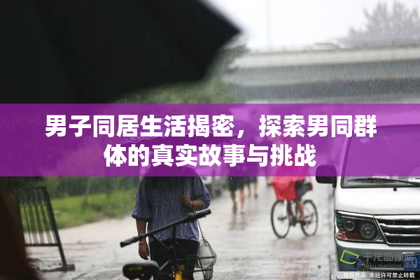 男子同居生活揭密，探索男同群体的真实故事与挑战