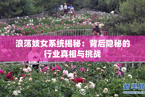 浪荡妓女系统揭秘：背后隐秘的行业真相与挑战