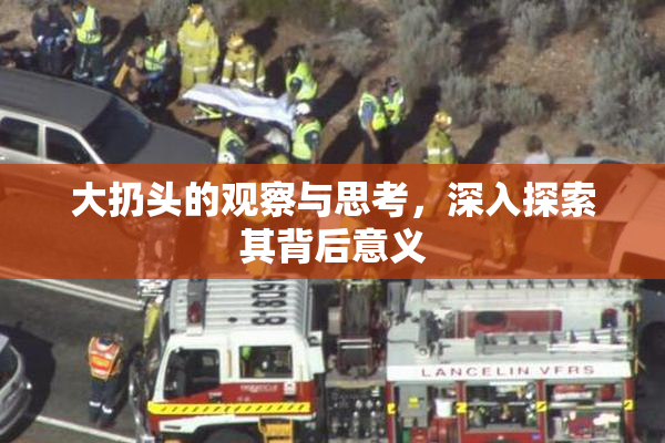大扔头的观察与思考，深入探索其背后意义