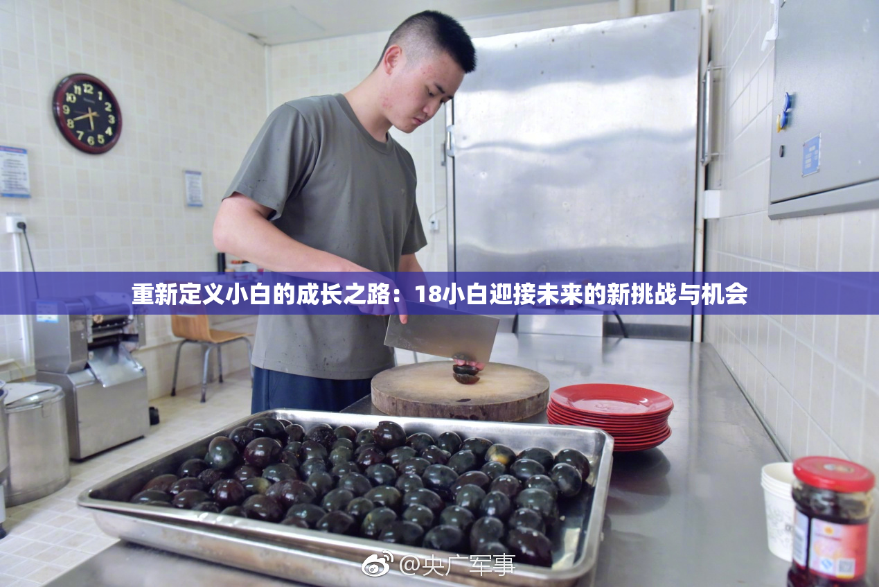 重新定义小白的成长之路：18小白迎接未来的新挑战与机会