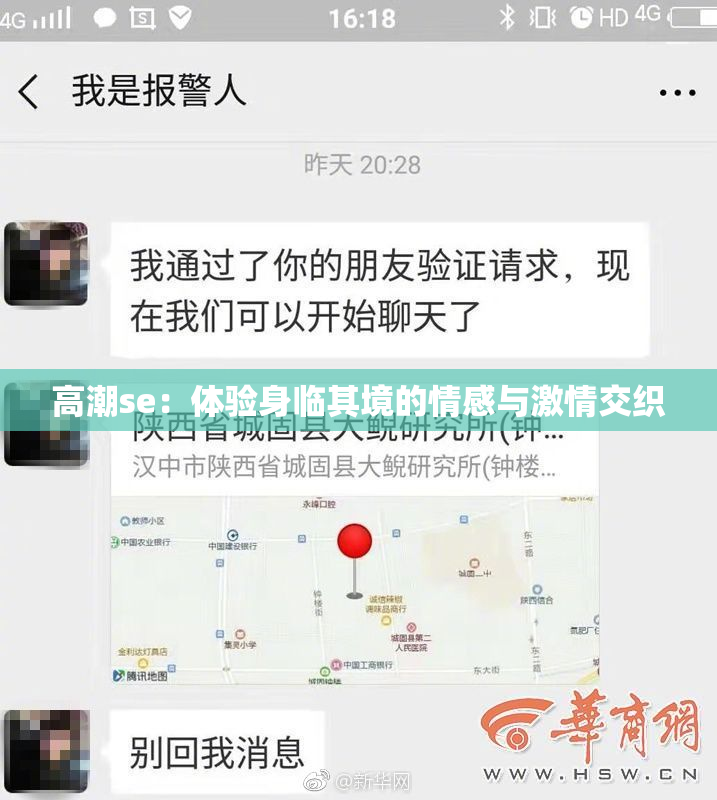高潮se：体验身临其境的情感与激情交织