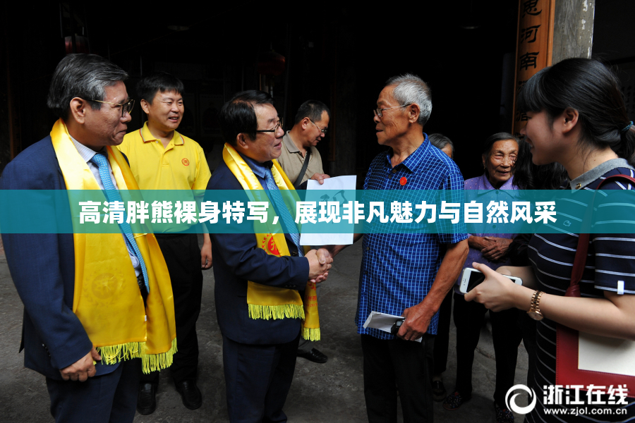 高清胖熊裸身特写，展现非凡魅力与自然风采