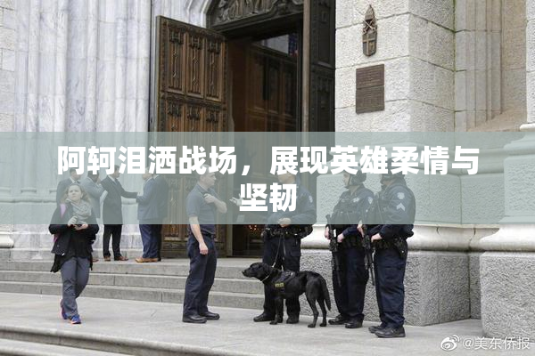 阿轲泪洒战场，展现英雄柔情与坚韧