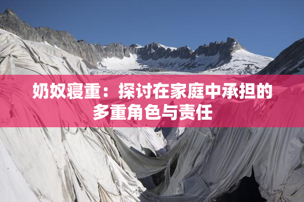 奶奴寝重：探讨在家庭中承担的多重角色与责任